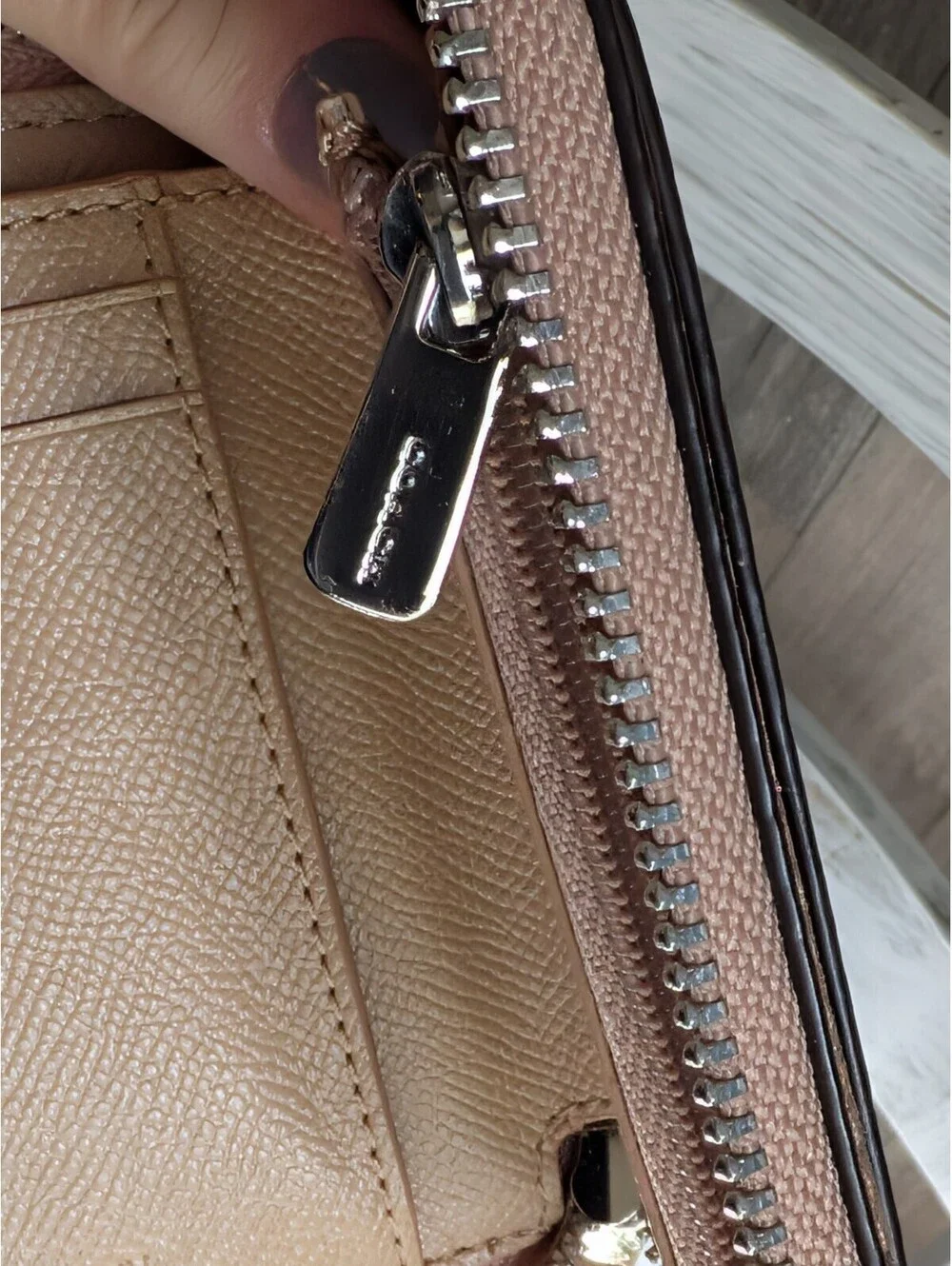 Coach embellished star